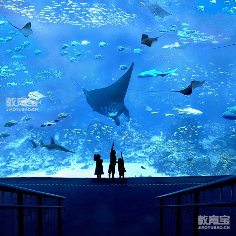 关于评价篮球训练的不足_0